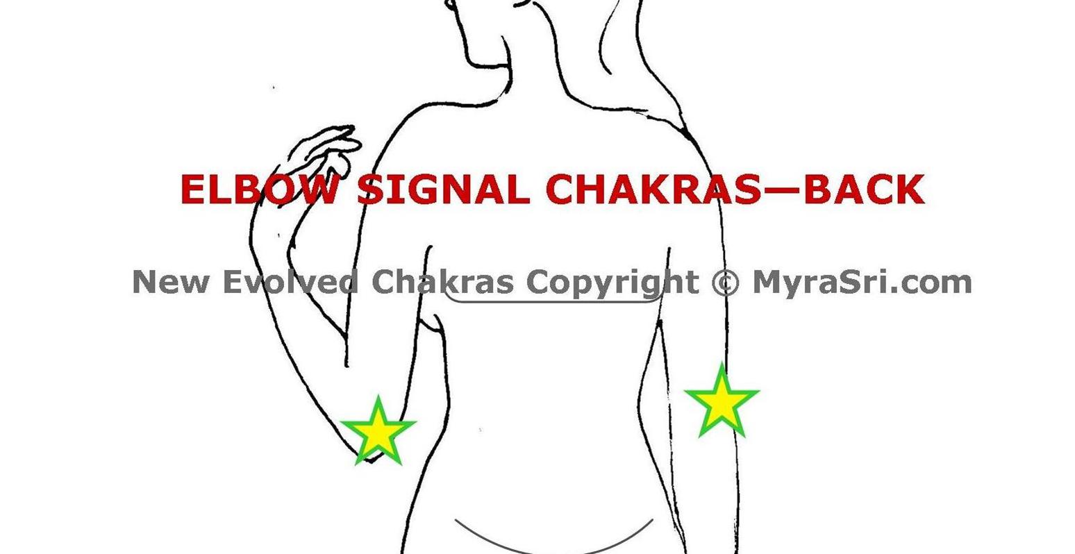 The New Signal Chakras & Subtle Body Anatomy