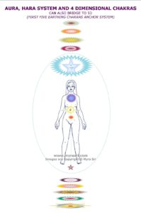 1st Stage of Earthing Chakras & Advanced Hara System